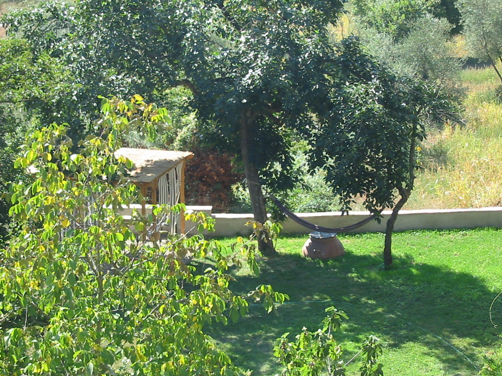 view from tower study 2